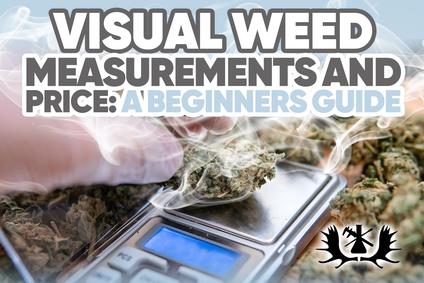 VISUAL WEED MEASUREMENTS AND PRICE: A BEGINNER'S GUIDE