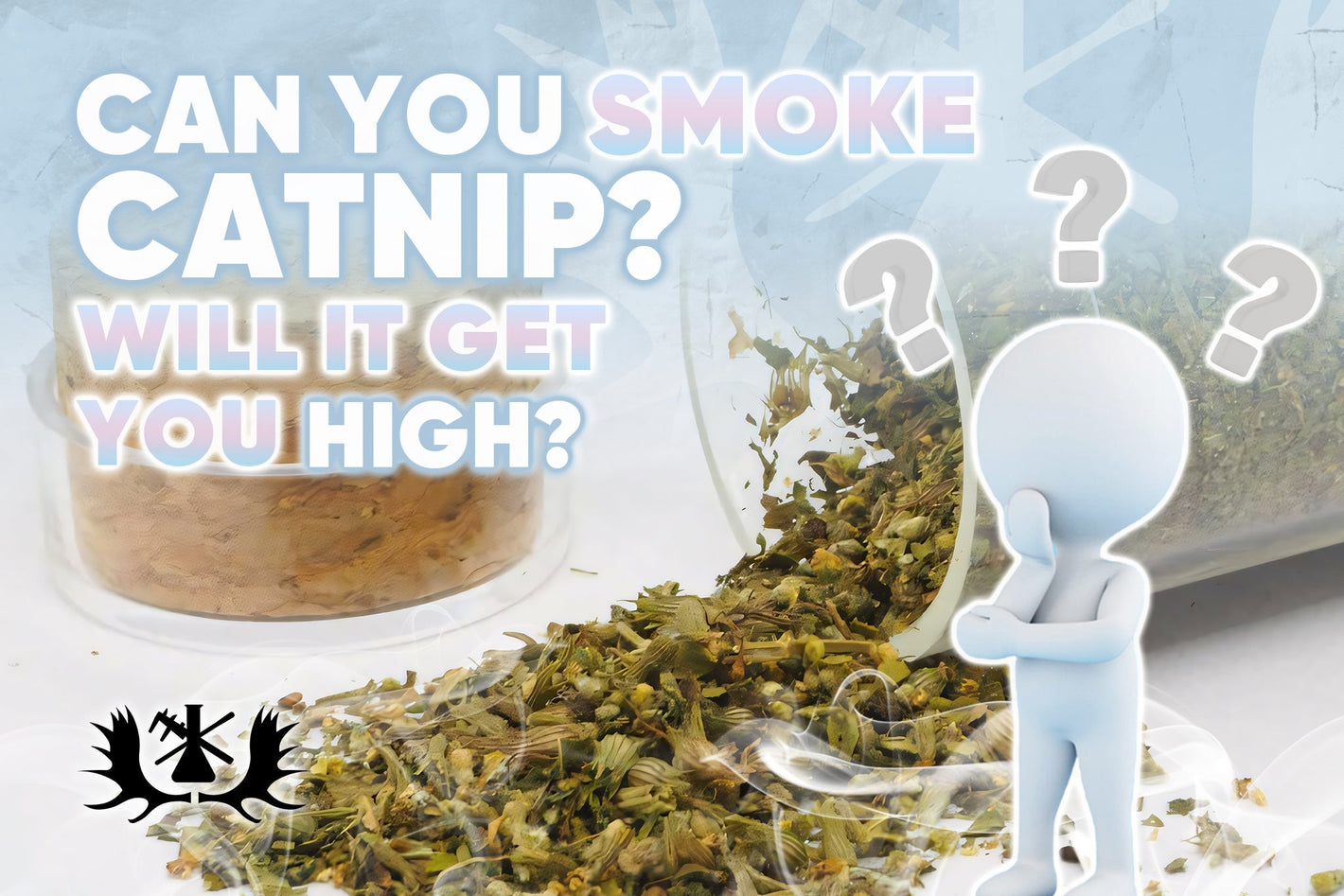 CAN YOU SMOKE CATNIP, AND DOES IT GET YOU HIGH? - Moose Labs LLC