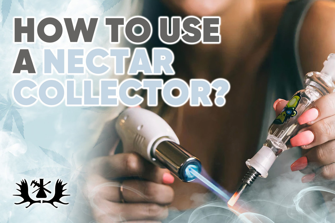 how to use a nectar collector