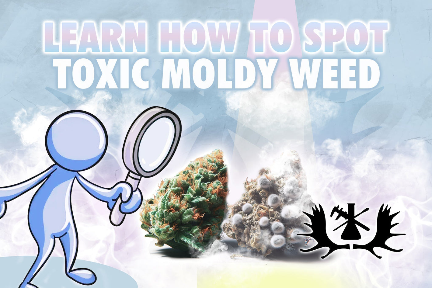 learn how to spot toxic moldy weed