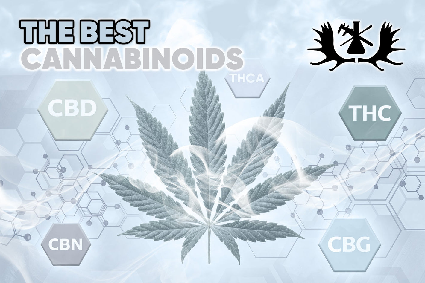 The Best Cannabinoids In 2025 - Moose Labs LLC