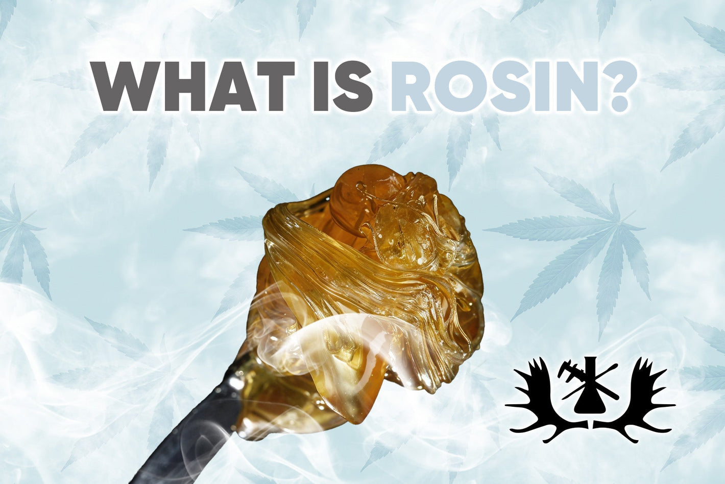 What Is Rosin? - Moose Labs LLC