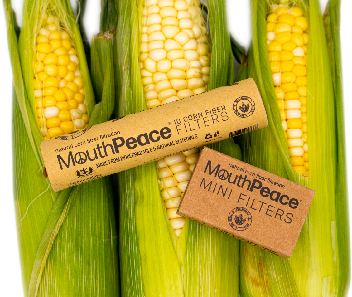 mouthpeace filters