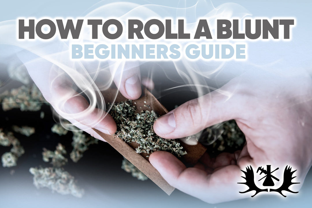 HOW TO ROLL A BLUNT: BEGINNERS GUIDE