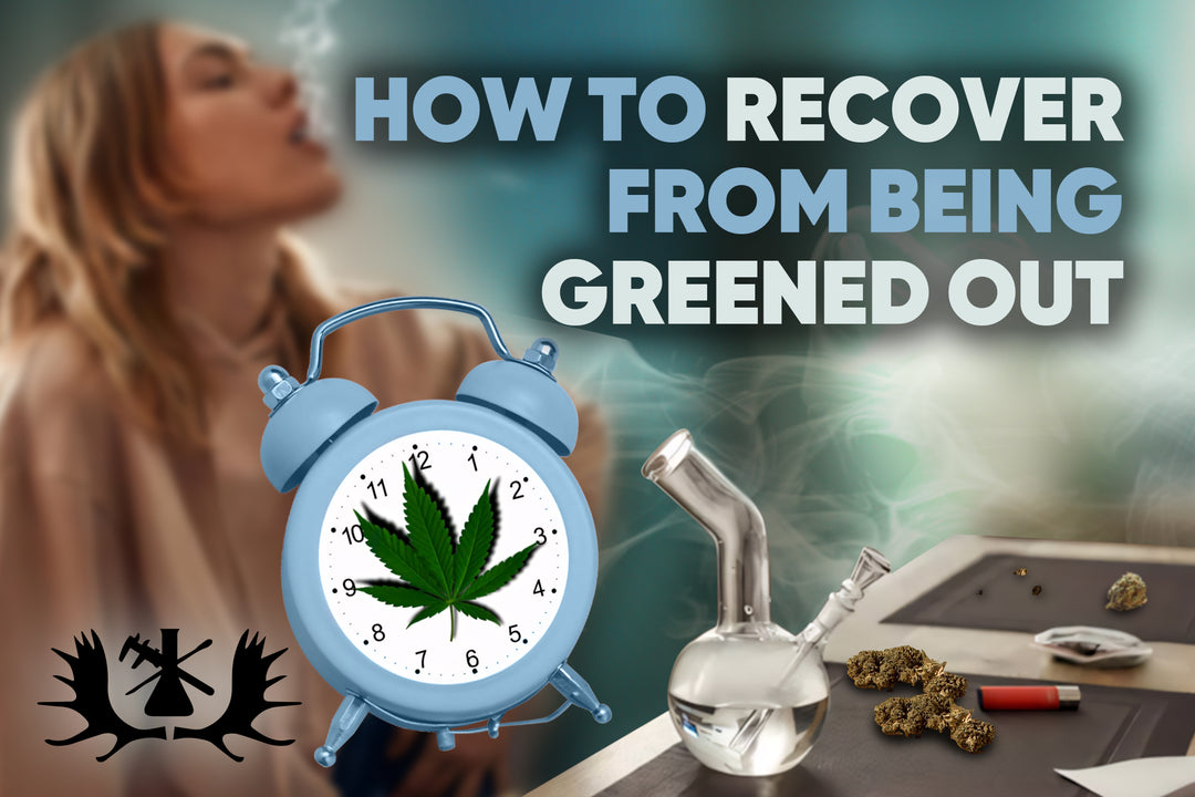 How To Recover From Being Greened Out