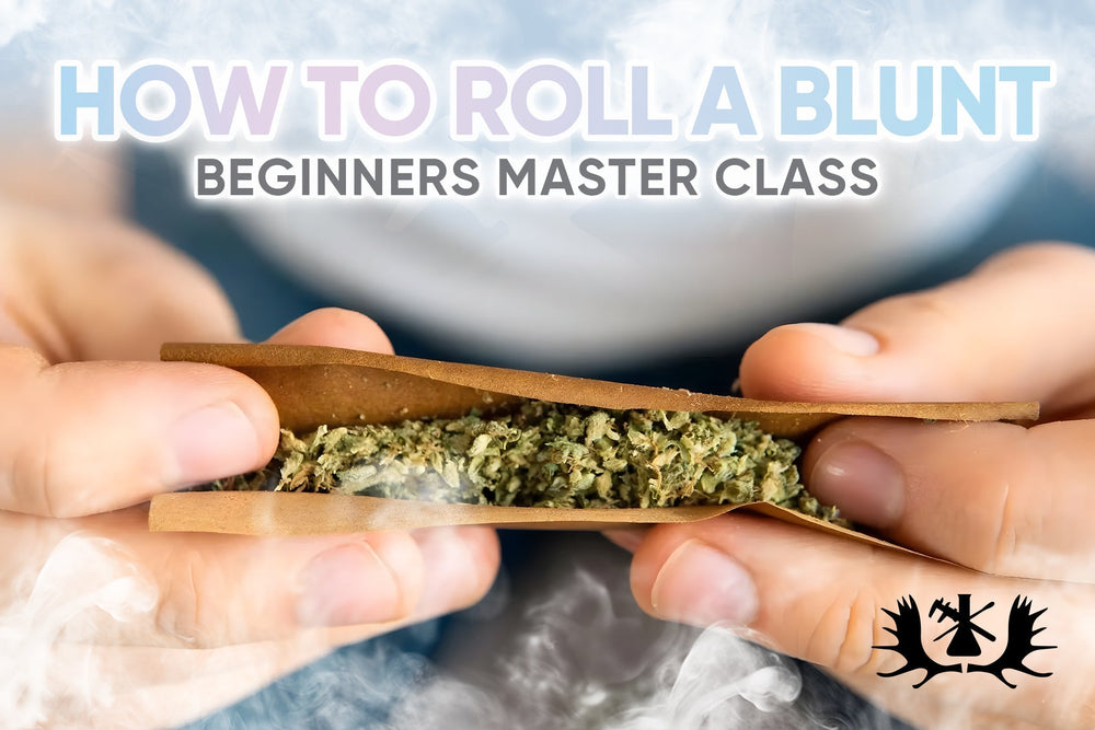 How to Roll a Blunt: Beginners Master Class [With Pictures]