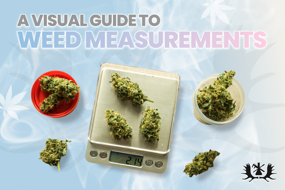 VISUAL WEED MEASUREMENTS AND PRICE: A BEGINNERS GUIDE
