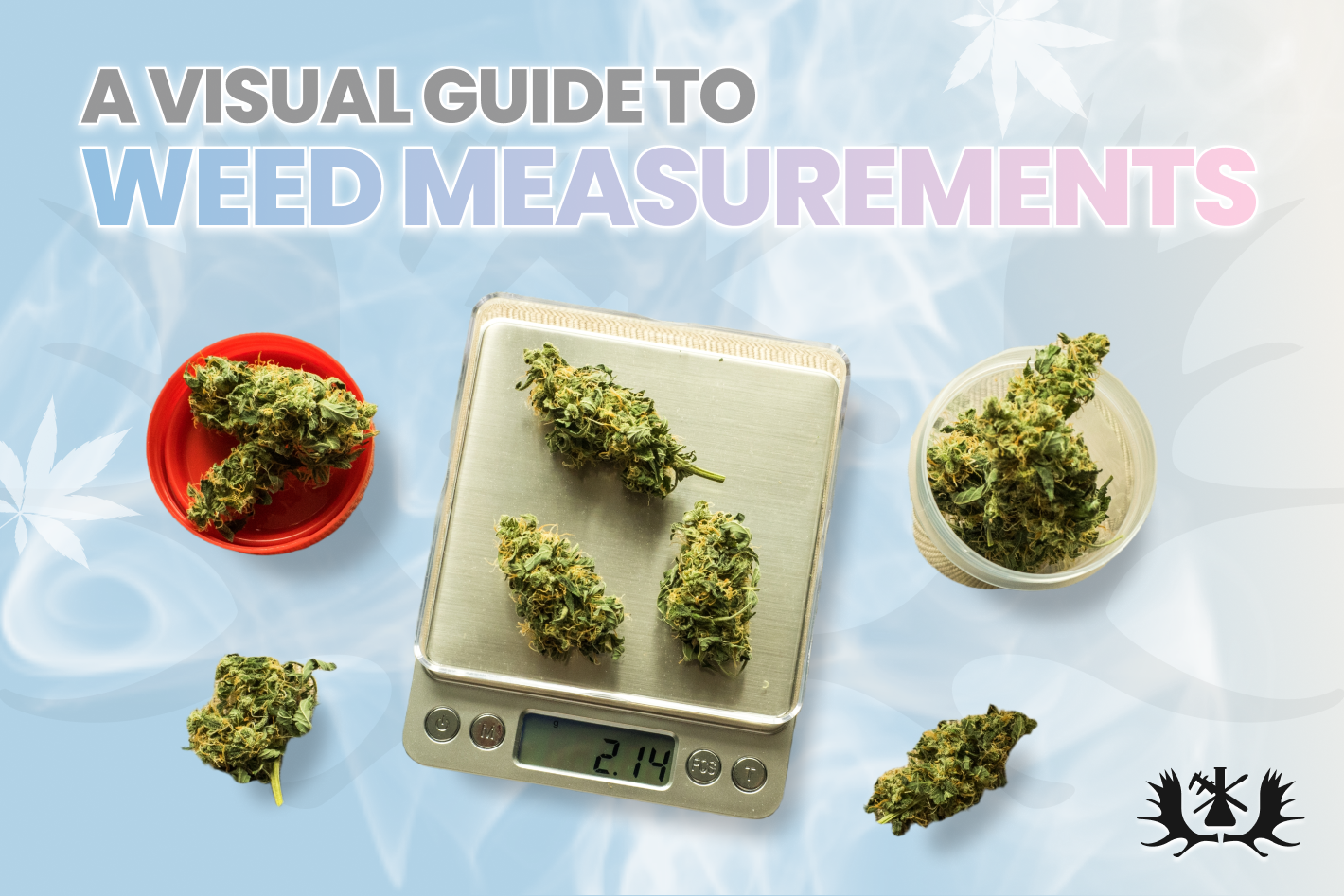 VISUAL WEED MEASUREMENTS AND PRICE: A BEGINNERS GUIDE