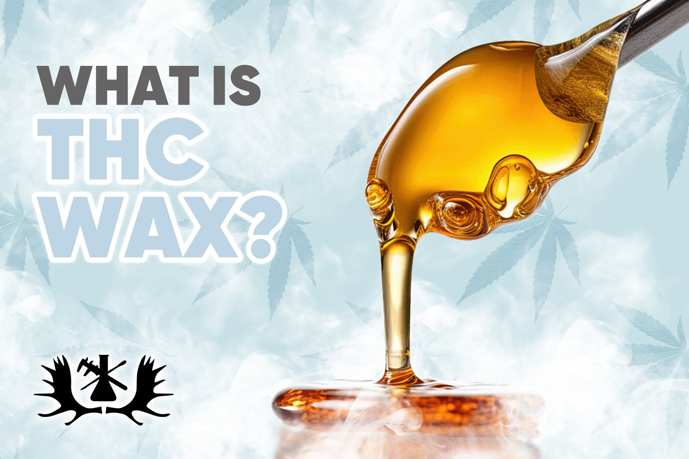 What is THC Wax - Moose Labs