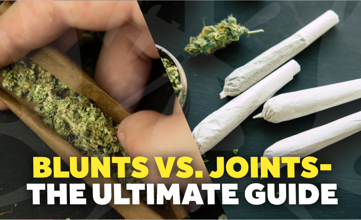 What's the Difference Between a Joint and a Blunt? Green Dragon Dispensaries