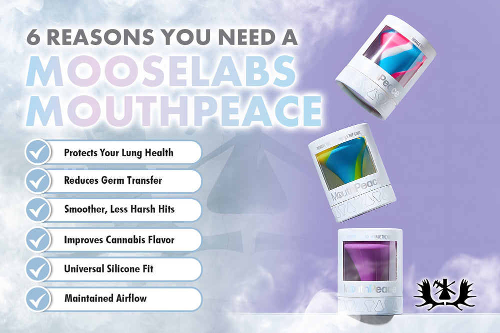 6 Reasons You Need a Mooselabs Mouthpeace
