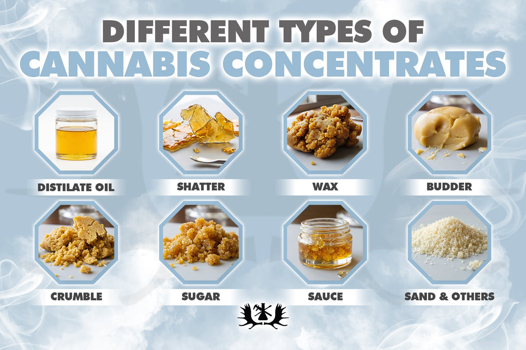The Different Types of Cannabis Concentrates - Explained for Beginners