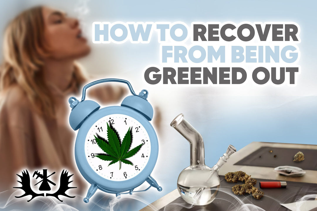 How To Recover From Being Greened Out - Moose Labs LLC