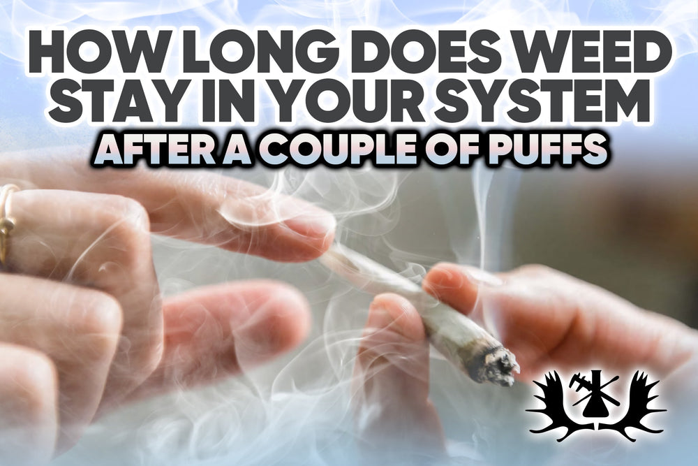 How Long Does Weed Stay In Your System After a Couple of Puffs