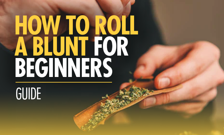 How To Roll a Blunt For Beginners - Guide - Moose Labs LLC