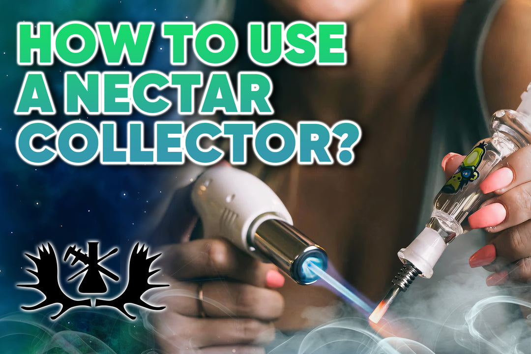 how to use a nectar collector