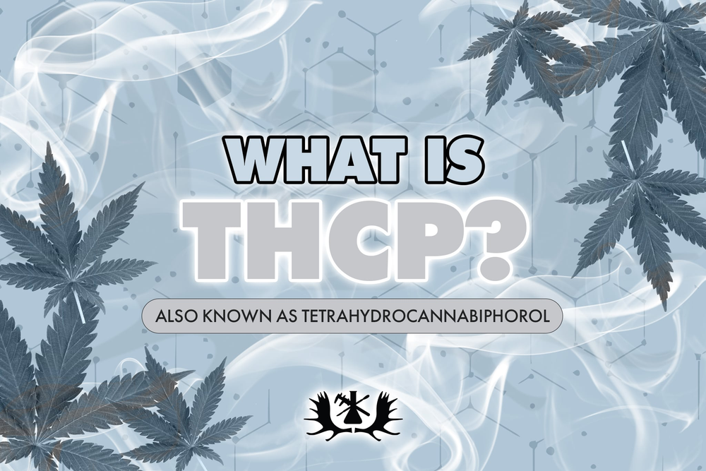 What is THCP? The Truth About This New Cannabinoid