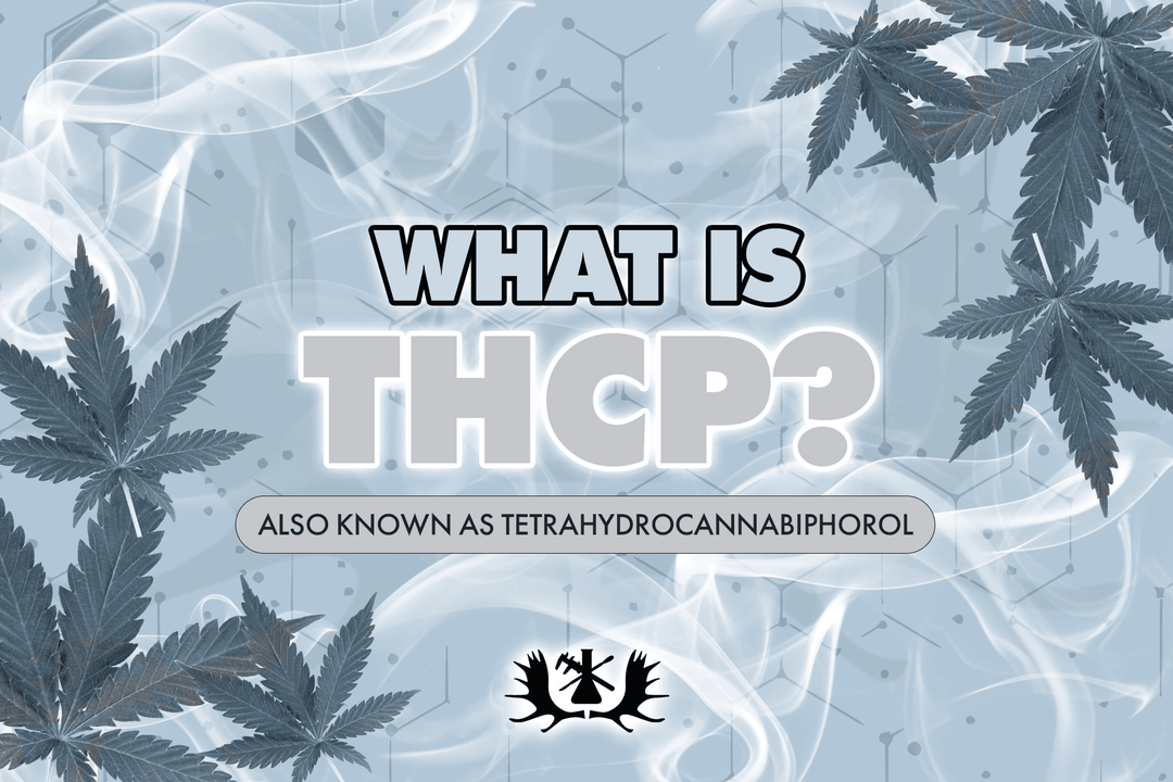 What is THCP? The Truth About This New Cannabinoid