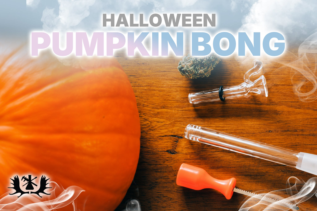 Halloween Pumpkin Bong: Step By Step Guide To Carving & Smoking A Pumpkin