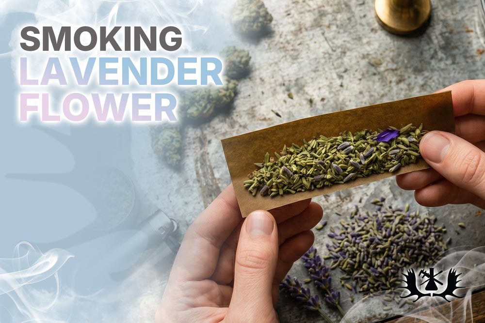 Effects of Smoking Lavender - and Other Smokable Herbs
