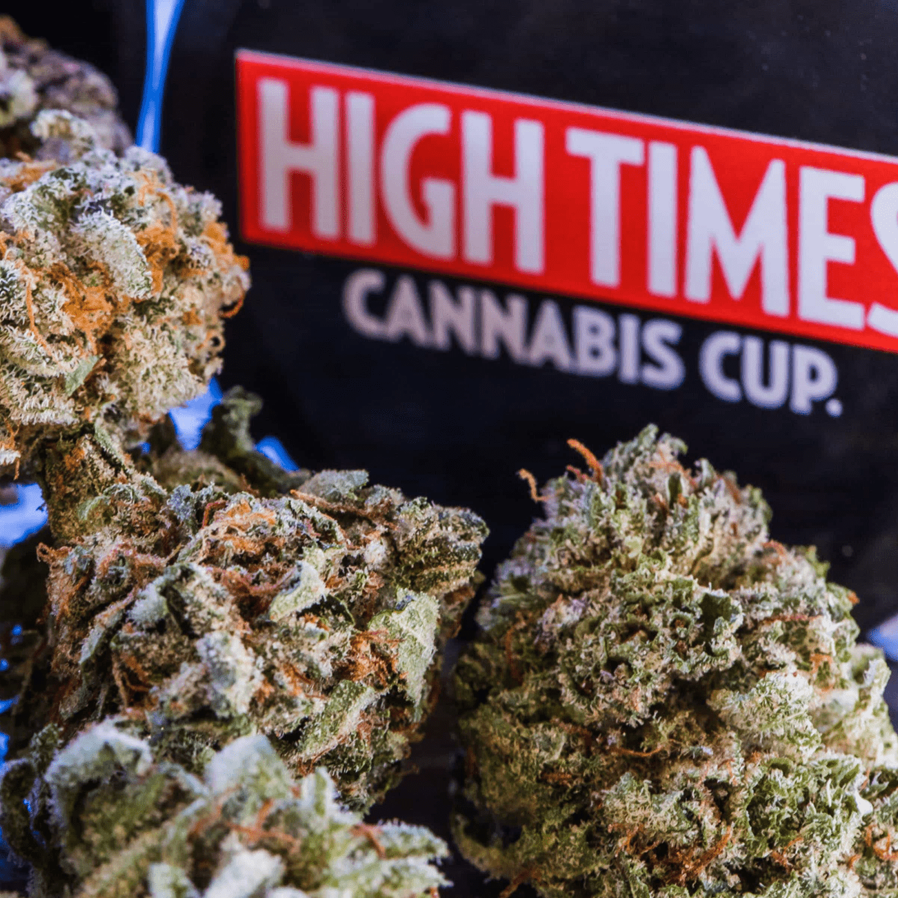 Crystalline green cannabis buds resting in front of a black High Times Cannabis Cup festival sign.