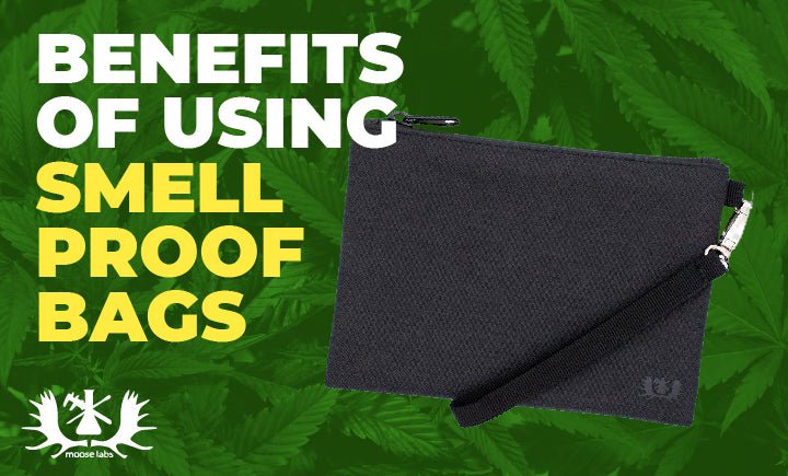 What Are Smell Proof Bags? - Moose Labs LLC