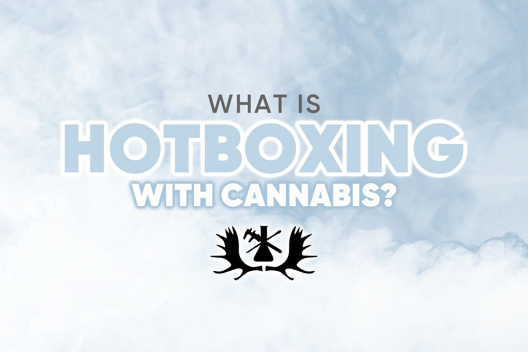 what-is-hotboxing-with-cannabis
