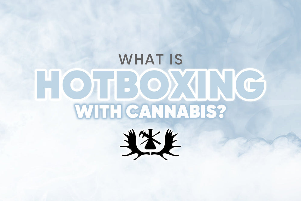 What Is Hotboxing With Cannabis?