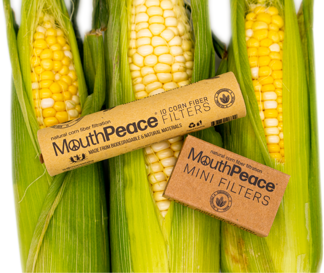 mouthpeace filter box over corn