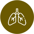 healthy lungs icon